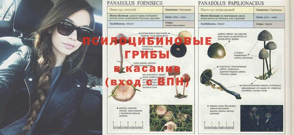 мет Алексин
