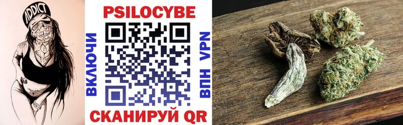 shop наркотические препараты  Суровикино  Псилоцибиновые грибы GOLDEN TEACHER 